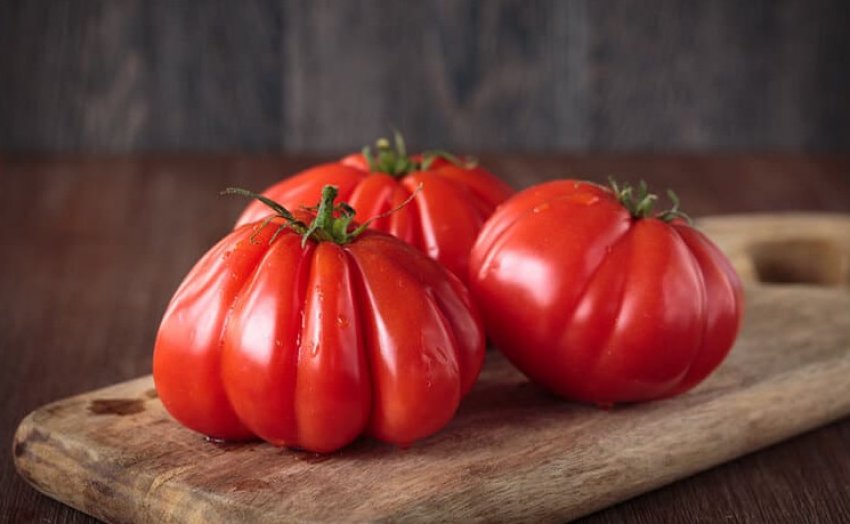 Томат Сто пудів Томат Сто пудів