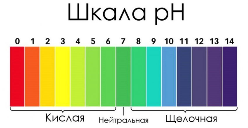 Шкала кислотності Шкала кислотності