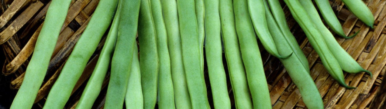 Особливості вживання спаржевої квасолі