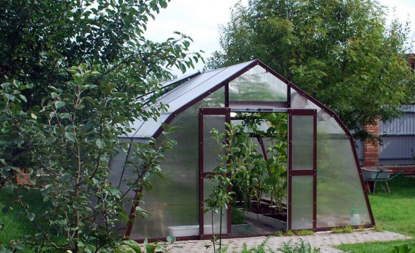 «Горобина»