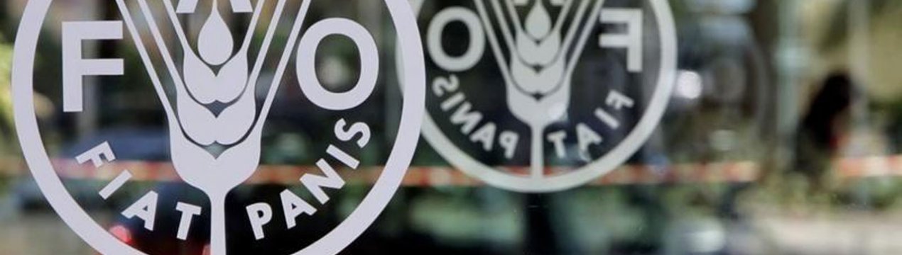 Боротьба з усіма формами недоїдання є головним пріоритетом FAO на найближчі два роки