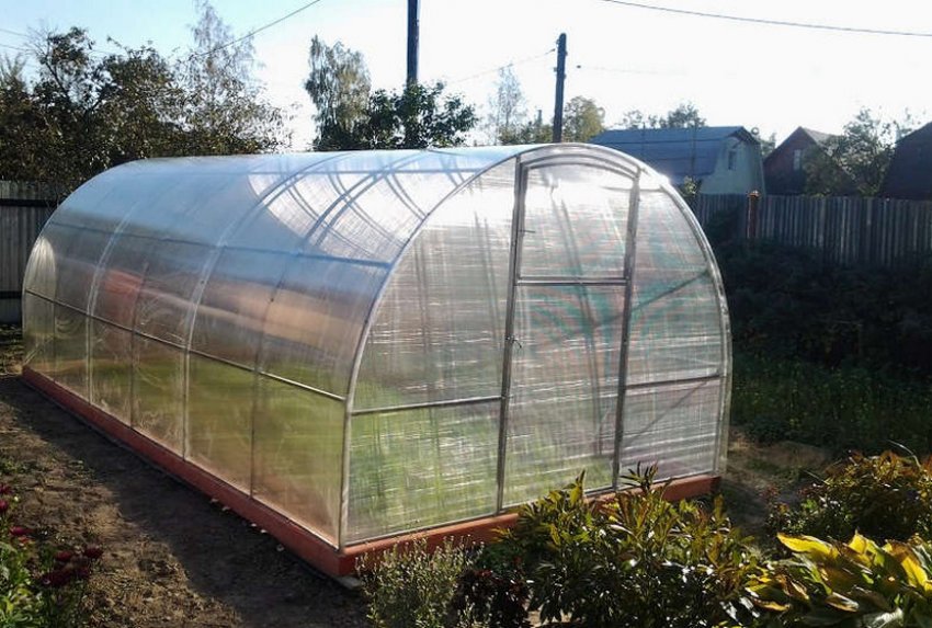 Теплиця «Кремлівська Люкс» Теплиця «Кремлівська Люкс»