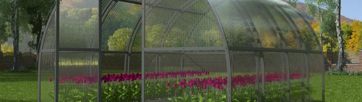 Особливості теплиці «Кремлівська Люкс»