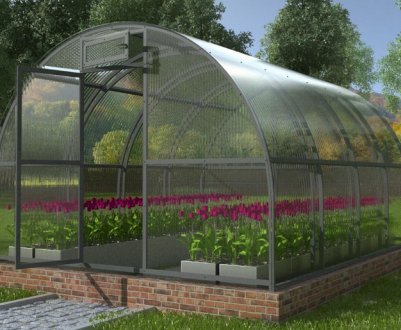 Особливості теплиці «Кремлівська Люкс»