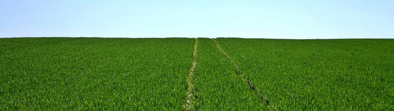 Аграрії Херсонської області почали поливальні роботи