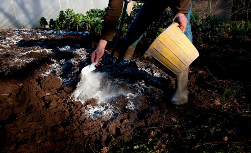 Вапнування ґрунту Вапнування ґрунту