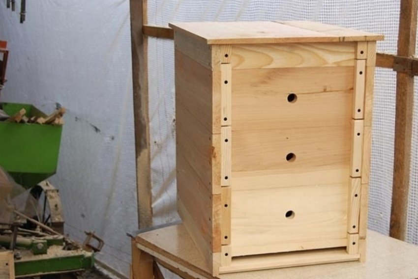 Рогата вулик Рогата вулик