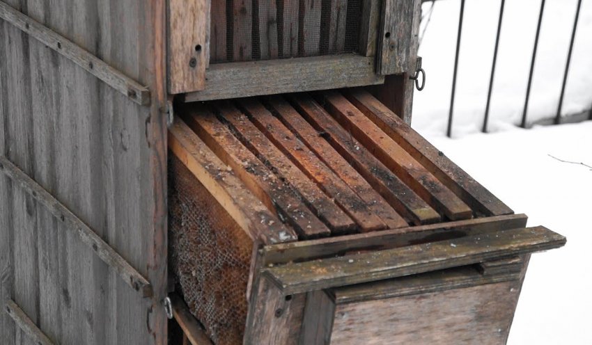 Касетний вулик Касетний вулик