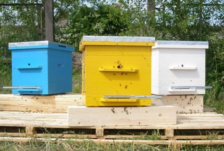 Однокорпусний рамковий вулик Однокорпусний рамковий вулик