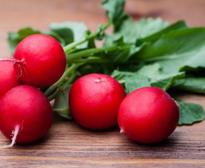 Особливості сорти редиски Дуро Краснодарське