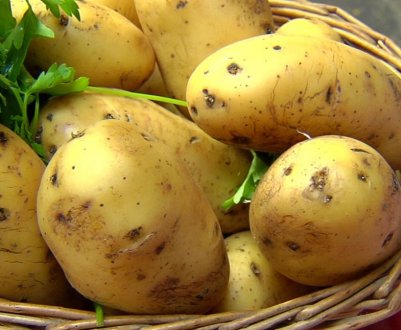 Западноавстралийские фермери вибирають низьковуглеводні дієти