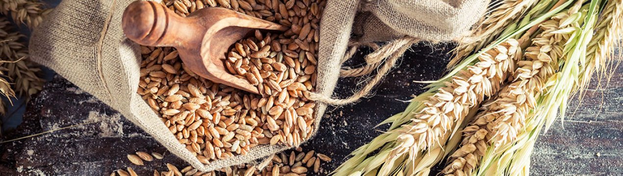 Китай досліджує запит США на зняття антидемпінгових тарифів на DDGS