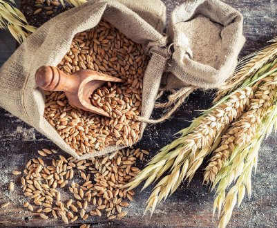 Китай досліджує запит США на зняття антидемпінгових тарифів на DDGS