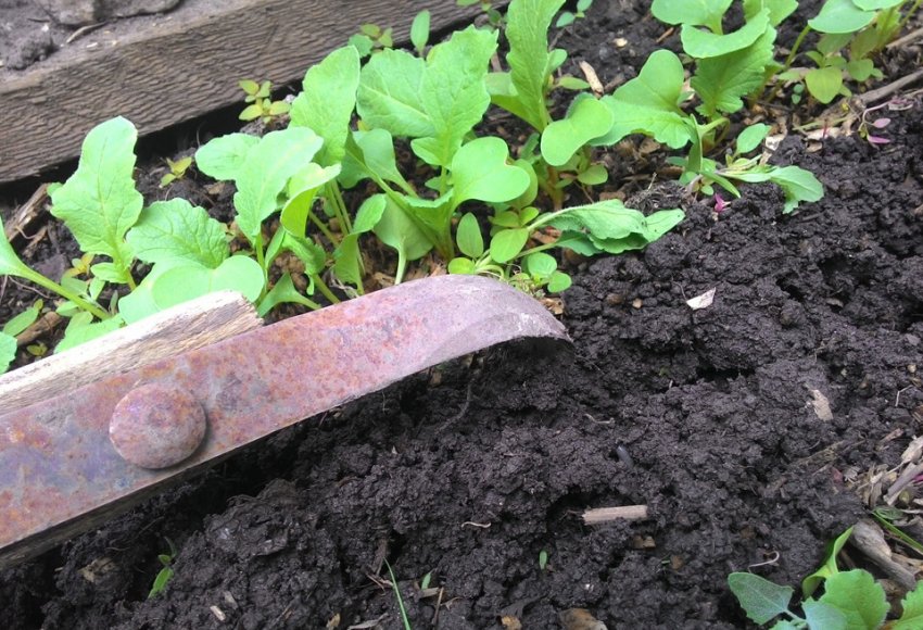 Розпушування грунту Розпушування грунту