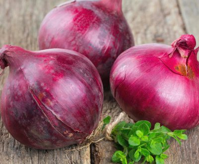 Насіннєвий цибулю в Україні подорожчав у 7 разів 