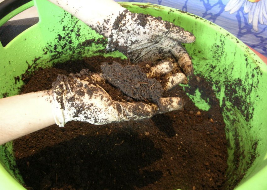 Грунт для розсади