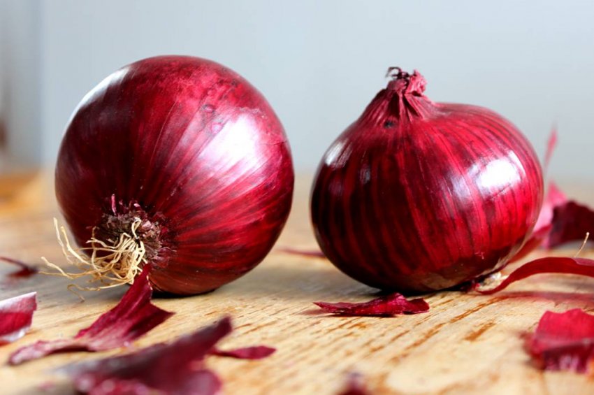 Каховський експериментальний механічний завод випустив обладнання з очищення цибулі Каховський експериментальний механічний завод випустив обладнання з очищення цибулі