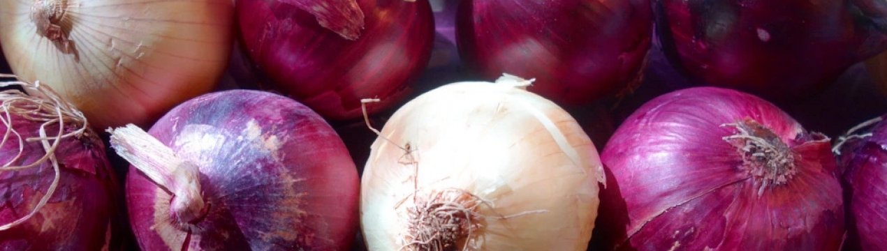 Каховський експериментальний механічний завод випустив обладнання з очищення цибулі