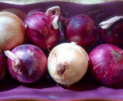 Каховський експериментальний механічний завод випустив обладнання з очищення цибулі