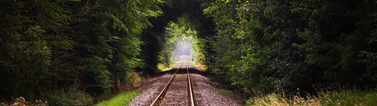 Виробники цукру просять не закривати малодеятельные залізничні станції України