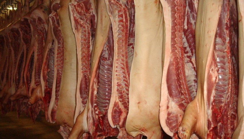 Вага свині після забою