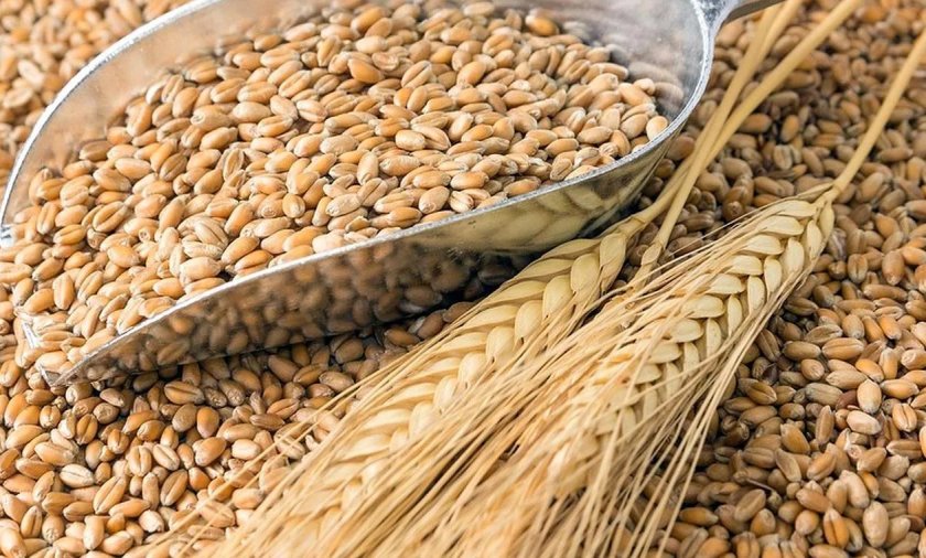 Дефицит зерна в России спровоцирует подорожание мяса в Армении Дефицит зерна в России спровоцирует подорожание мяса в Армении