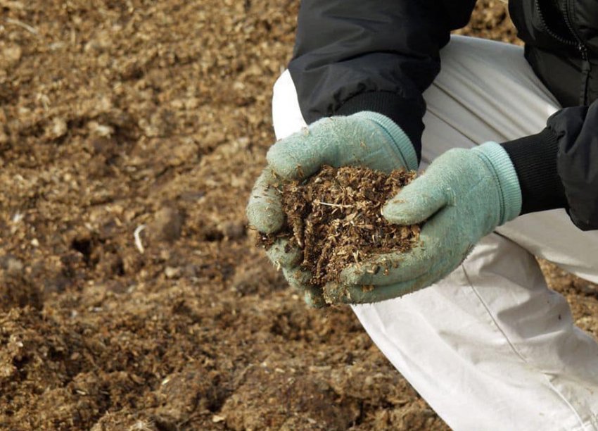 Мульчування грунту Мульчування грунту