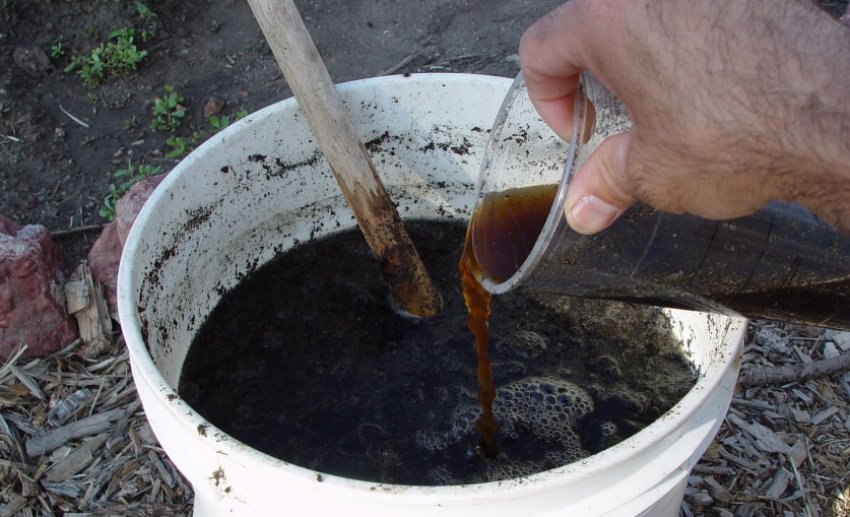 Суміш коров'яку і пташиного посліду Суміш коров'яку і пташиного посліду