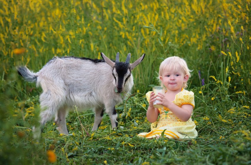 Козяче молоко