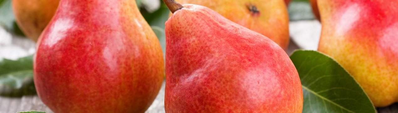 Чи може бути алергія на грушу у дитини?