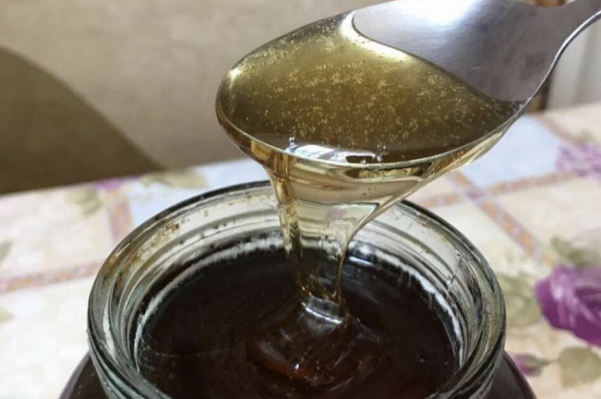 Почему мед темный. Падевый мёд. Темный мед. Гречишный мёд. Потемнение меда.