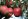 Яблоки зеленые или красные польза thumbnail