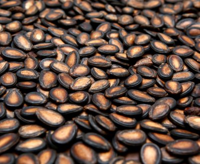 Як правильно зберігати насіння в домашніх умовах