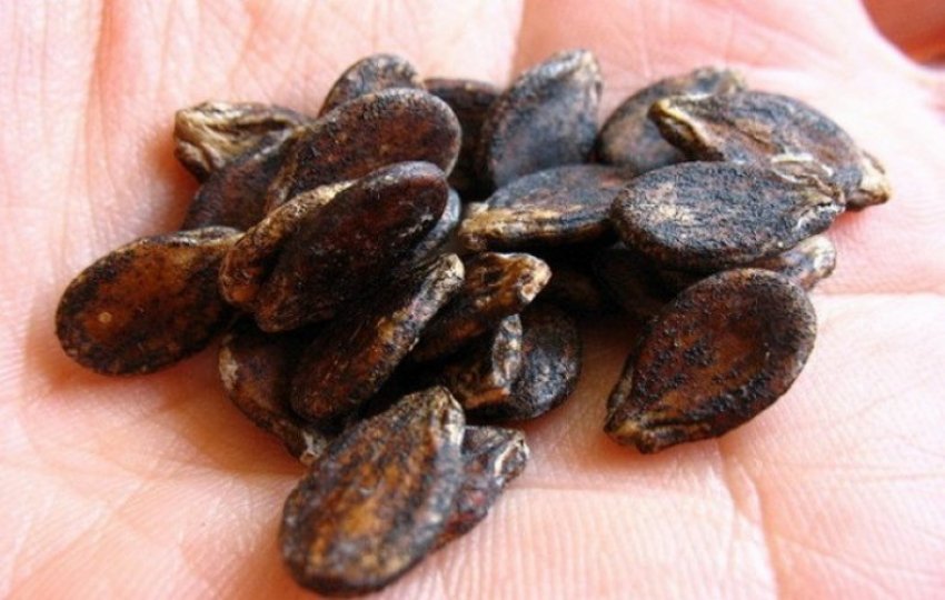 Кавунові насіннячка Кавунові насіннячка