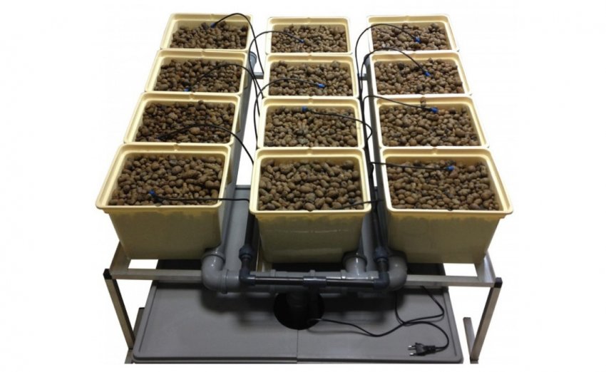 Субстратна система гідропоніки Субстратна система гідропоніки