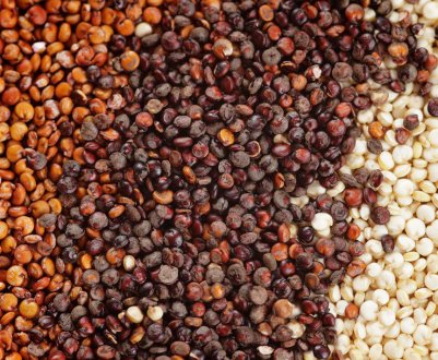 Краснодарські аграрії мають намір вирощувати «божественне зерно»