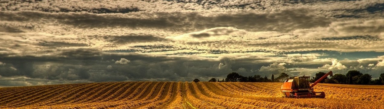 Ірландські фермери тепер можуть використовувати глобальну платформу страхування врожаю