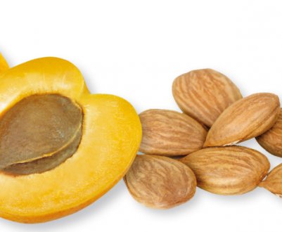 Скільки в день можна з'їдати абрикосових зерняток