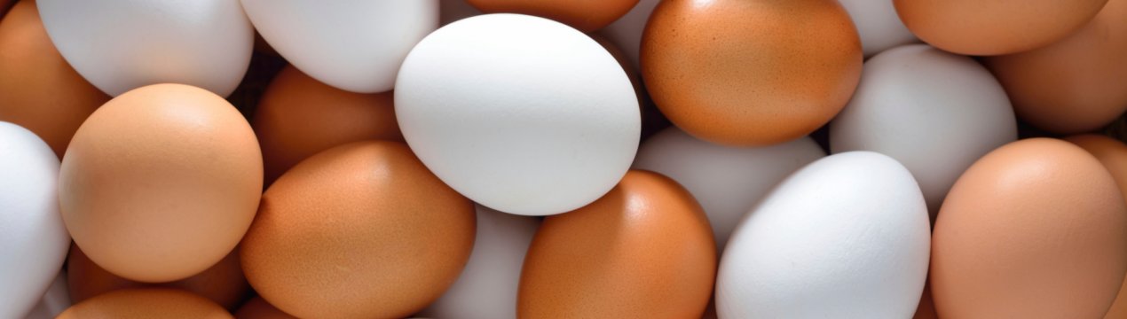 Яєчні фермери Голландії подали в суд на урядова Рада з безпеки харчових продуктів