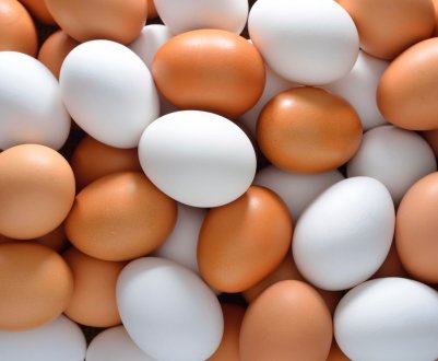 Яєчні фермери Голландії подали в суд на урядова Рада з безпеки харчових продуктів