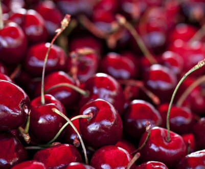 ТОП-10 кращих сортів черешні для посадки в Підмосков'ї