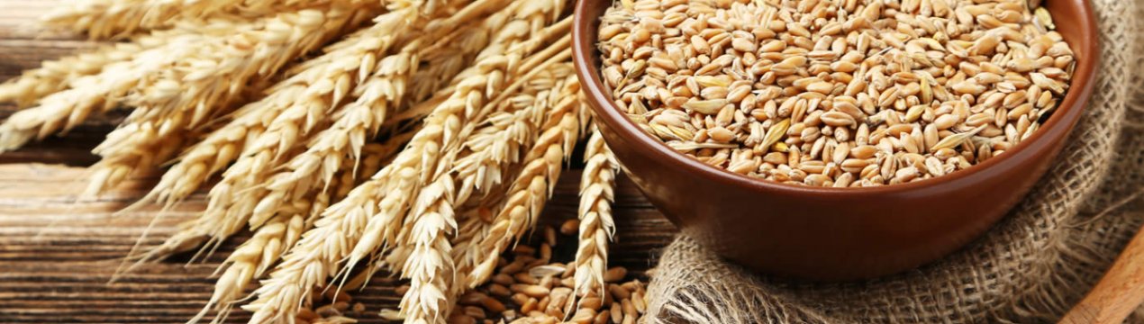Україна зменшила темпи експорту пшениці