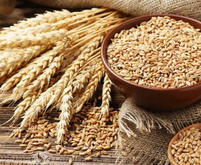 Україна зменшила темпи експорту пшениці