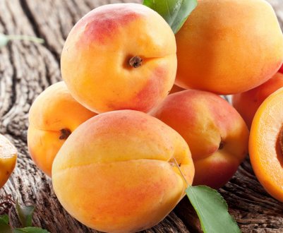 Особливості корисних і шкідливих для здоров'я властивостей абрикоса
