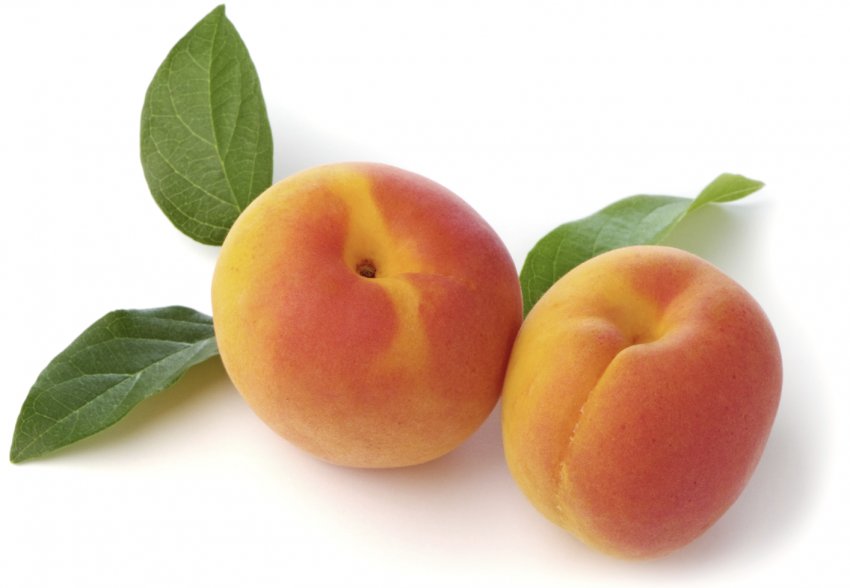 Користь абрикоса для організму людини