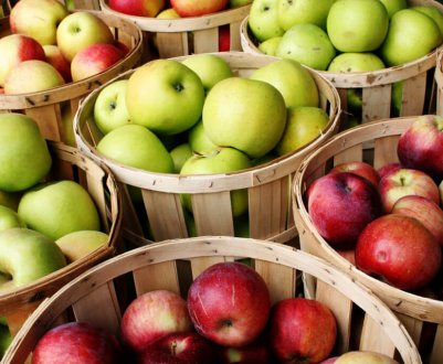 Краснодарські садівники захистили честь кубанських яблук