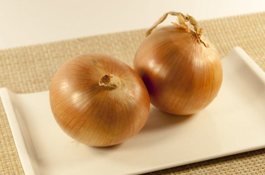 Ріпчасту цибулю Кентавр Ріпчасту цибулю Кентавр