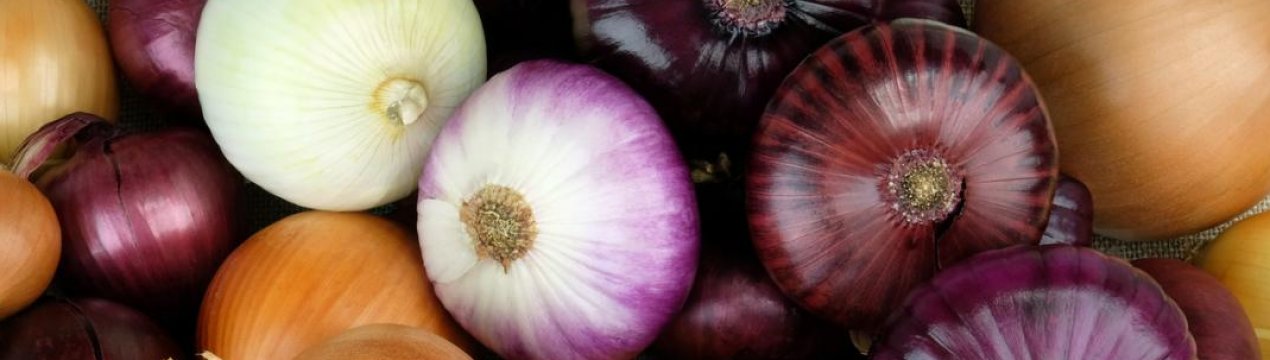 Ціна на цибулю в Україні зросла у п'ять разів