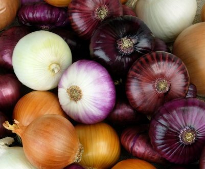 Ціна на цибулю в Україні зросла у п'ять разів 