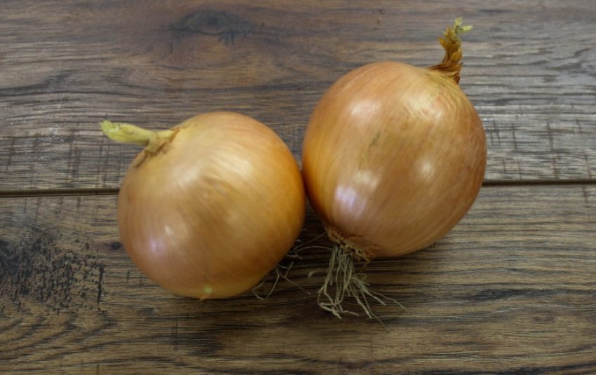 Цибуля Халцедон Цибуля Халцедон